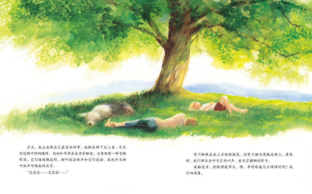 艾莉丝的树 (07),绘本,绘本故事,绘本阅读,故事书,童书,图画书,课外阅读